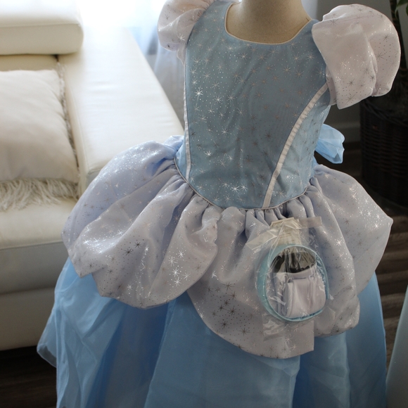 CINDERELLA COSTUME - Picture 14 of 14